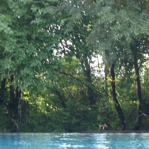 Meet your Posher, Mary ann